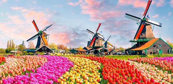 /_uploads/images/branch_tours/windmills-tulips-belgian-delights-header.jpg