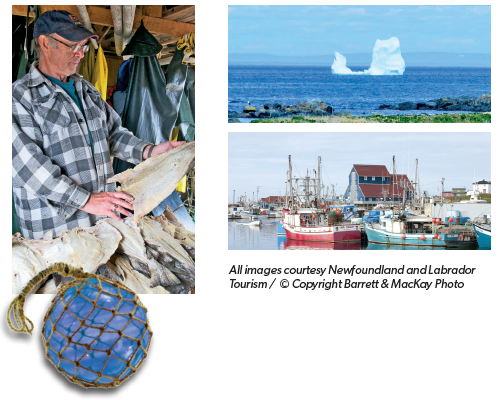 /_uploads/images/escortedgroups/NFLD-Lab-Discovery-twillingate.png