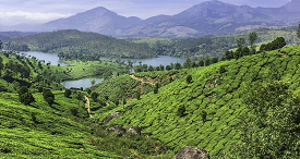 11-Day on Foot in Kerala Walking Tour of Southern India with Explore! TREKKING